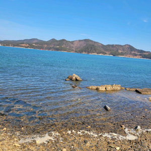 카큐cp판매 1만cp당 5,000원