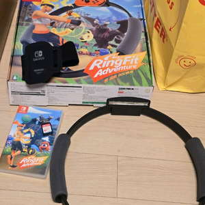 닌텐도 스위치 칩 링피트