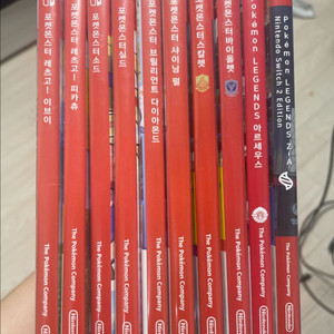 닌텐도 스위치 포켓몬 칩