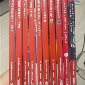 닌텐도 스위치 포켓몬 칩