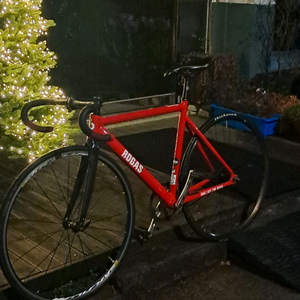 로다스 픽시 자전거 판/대