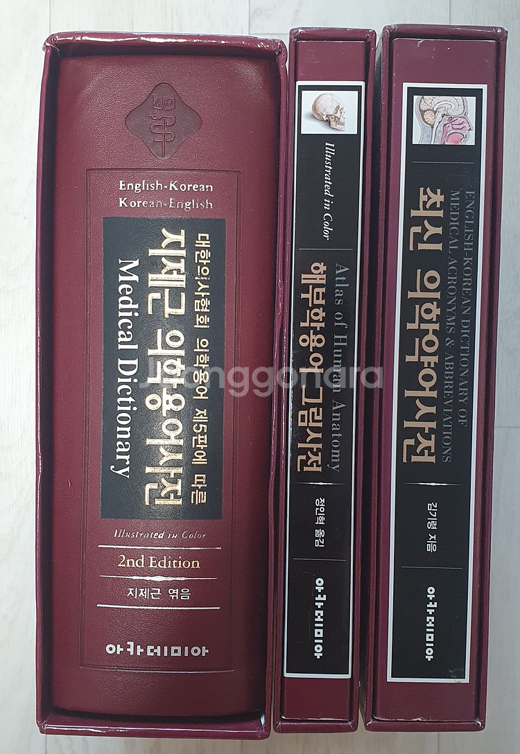 지제근 의학용어사전 3권 세트--2