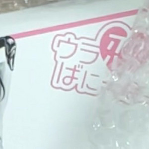 인사이트 (Insight) 1/4 스케일 육감소녀 우라코이 바니보이 플로아