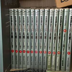 스파이 패밀리 14권