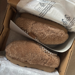 어그 타스만 맥시컬리 새상품 키즈7T (145)