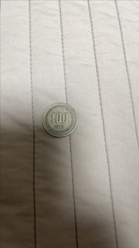 1973 100원 이미지