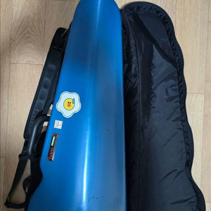 비올라 뱀케이스 (한정판 색상)