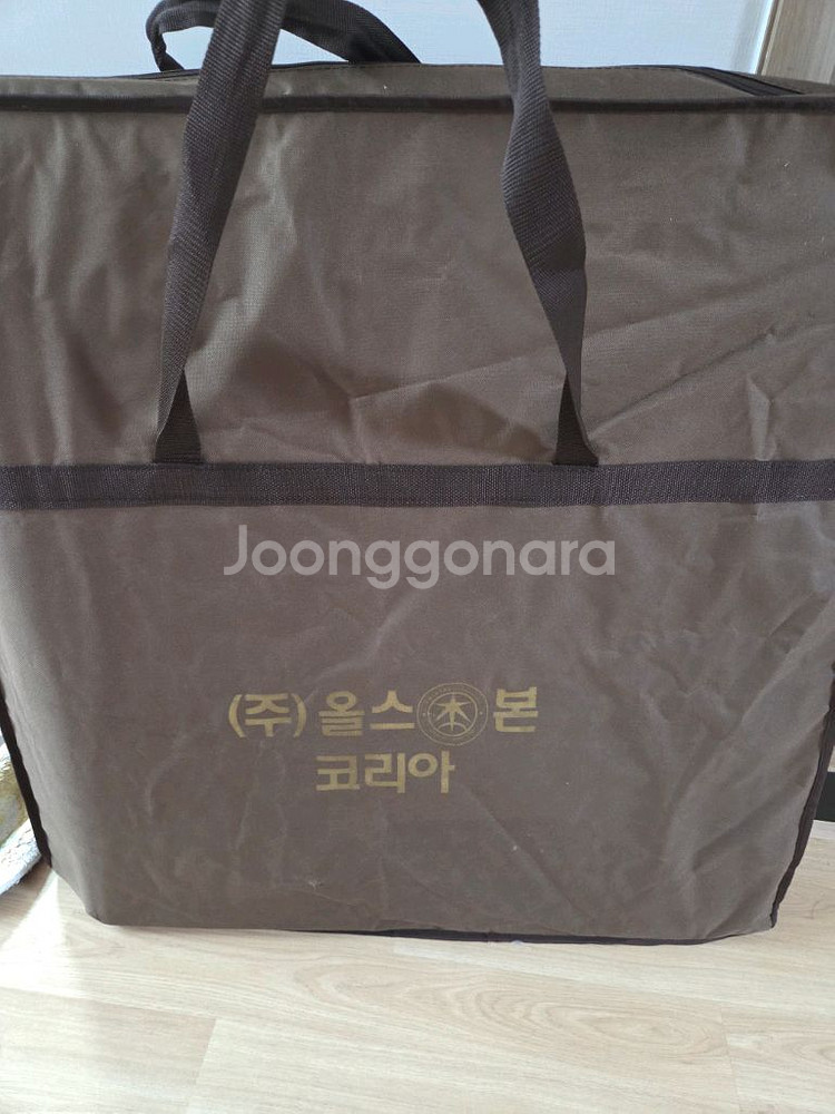 올스본 프로메스3000 전위플러스 개인용조합자극기 온열매트--5