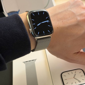 애플워치7 45mm 실버 스테인리스 스틸 밀레니즈 루프 이미지