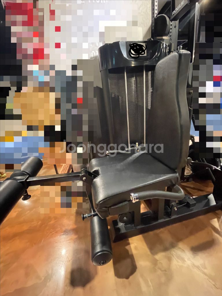 레그컬 익스텐션--1