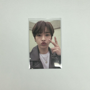 스트레이키즈 스키즈 고생 리노 스탠다드 버전 양면 포카 양도 이미지