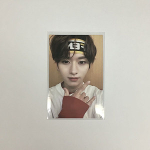 스트레이키즈 스키즈 고생 리노 스탠다드 버전 양면 포카 앨포 양도 이미지