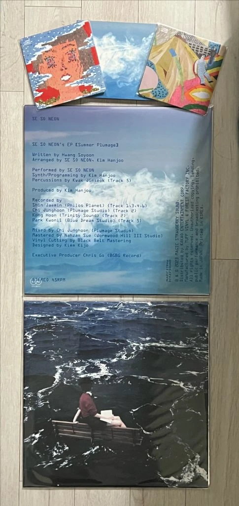 새소년 (SeSoNeon) - 한정반 CD 및 LP 모음 판매합니다.(긴 꿈, 파도, 서울깃, 비적응) 이미지