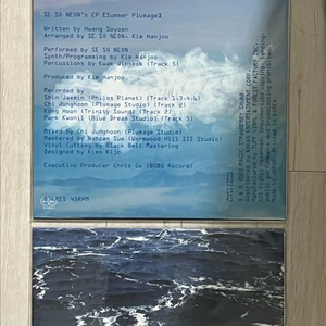 새소년 (SeSoNeon) - 한정반 CD 및 LP 모음 판매합니다.(긴 꿈, 파도, 서울깃, 비적응) 이미지