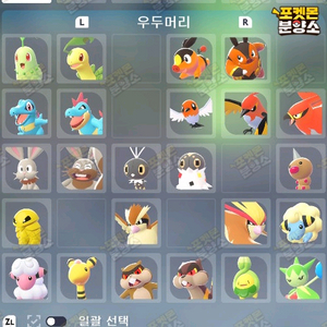 우두머리 포켓몬 / 포켓몬스터 레전드 ZA / 스위치