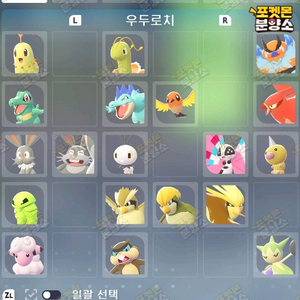 우두로치 포켓몬 / 포켓몬스터 레전드 ZA / 스위치