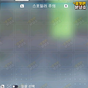 메가진화 포켓몬 / 포켓몬스터 레전드 ZA / 스위치