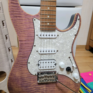 일렉기타 cst 550