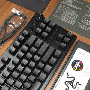 레이저 헌츠맨 V3 프로 텐키리스 (팜레스트 포함)