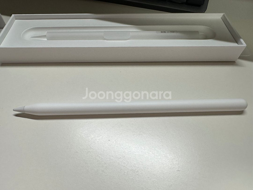 애플 펜슬 프로--0