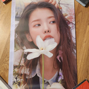 아이유 라일락 앨범 포스터 이미지