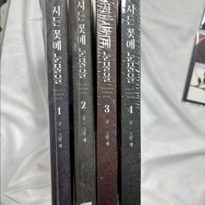 장씨세가 호위무사 1~14(완결) | 중고나라 - 안심되는 중고거래