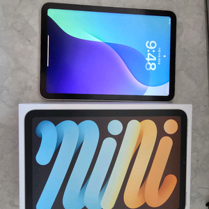 아이패드미니 6세대 셀룰러 64gb