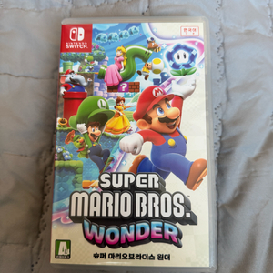 닌텐도 스위치 슈퍼 마리오 윈더 브라더스 칩