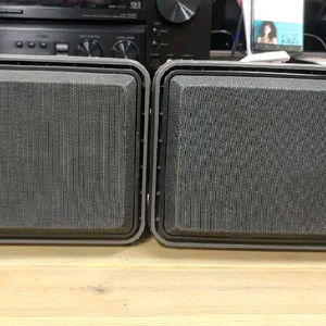 BOSE video Roommate 액티브 스피커