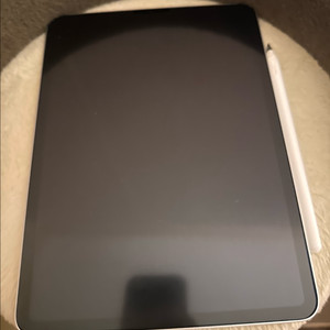 (급처분, 마지막 가격내림) 아이패드 프로 11 3세대 128GB 실버