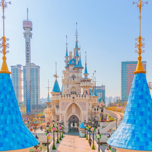 롯데월드 티켓 자유이용권 대인 2매(중고나라 최저가)