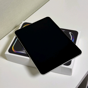 아이패드 프로 11 M4 256GB wifi 실버