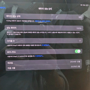 아이패드 프로 11 m4 256GB wi-fi