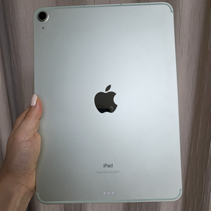 아이패드 에어4 / 256gb / 셀룰러