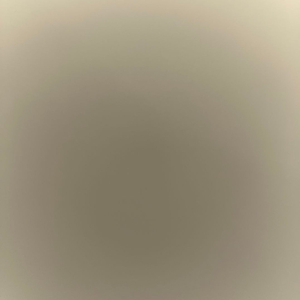 플랜츠대브래인롯 동결 감자 구합니다 이미지