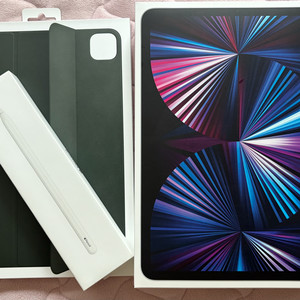 아이패드 프로 11인치 M1 2TB 셀룰러 애케플