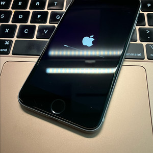 아이폰 SE 2세대 실버 64GB 북미판 촬영무음