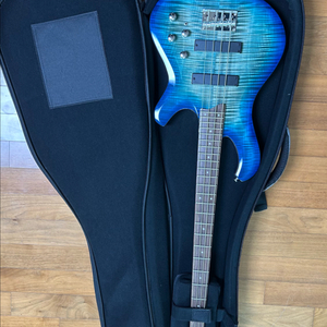 데임 폴앤폴 250 TBL 베이스 기타