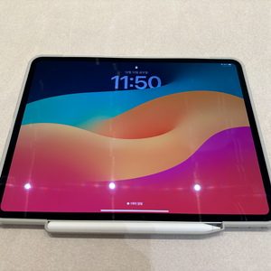 아이패드 프로 13 m4 1tb 셀룰러 제품 판매합니다