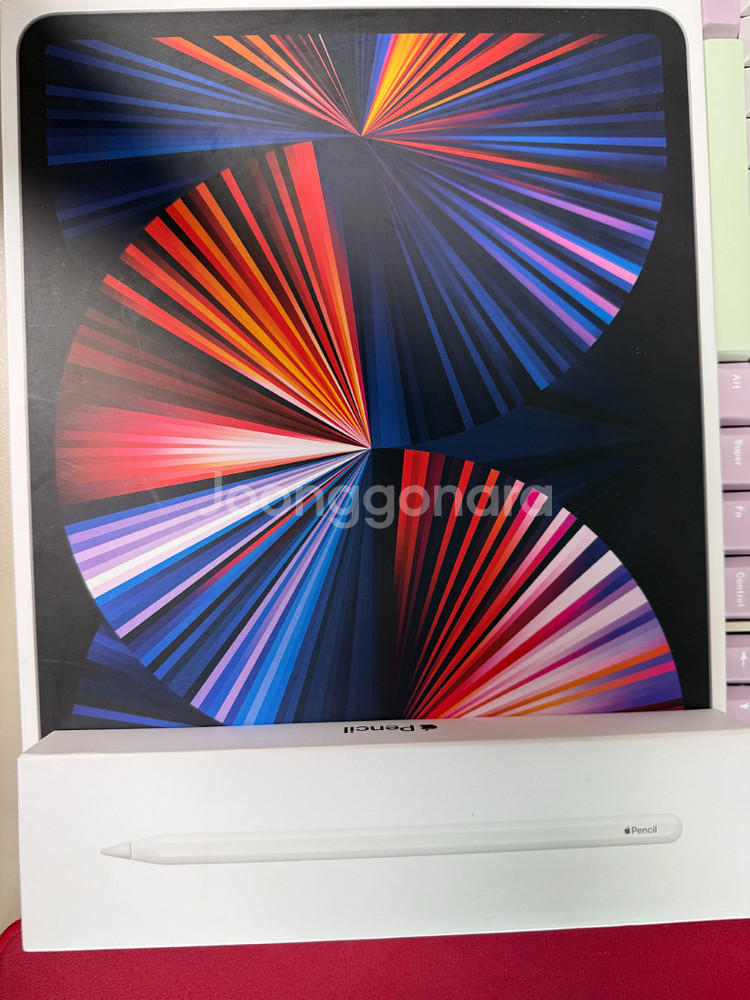 아이패드 프로 5세대 12.9인치 128GB 와이파이+애플펜슬--0