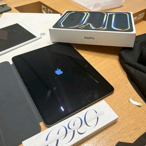 아이패드 프로 13 M4 256GB wifi + 애플펜슬 프로