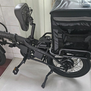 레이윙 러쉬 전기자전거