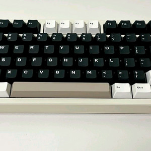 레이니 중옵 치즈화이트