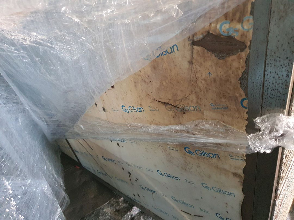 블루베리 예냉기--5