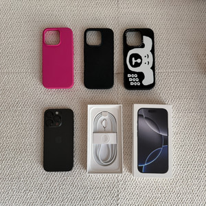 아이폰16 프로 1TB