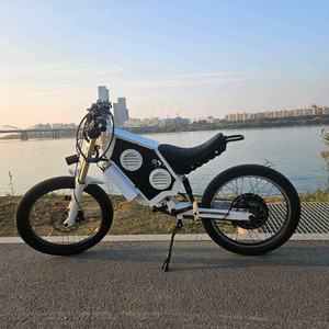 써론, 탈라리아같은 빠른 전기자전거 판매