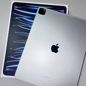 *메인보드 고장* 아이패드프로6 12.9 256gb wifi