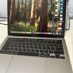 맥북프로 M1 13인치 8GB/256GB