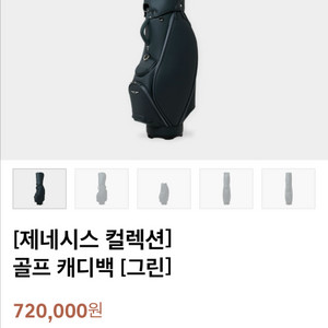 제네시스 컬렉션 골프 캐디백(그린) 이미지