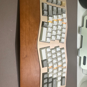 네오 어고 골드